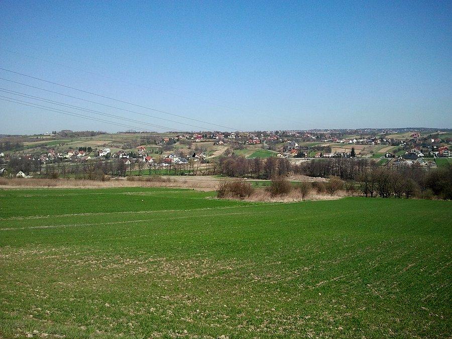 Widoczki