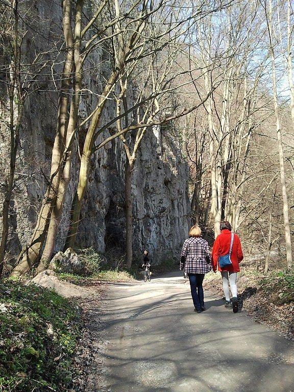 Trasa asfaltowa w stronę Ojcowa, na zdjęciu niewielki ruch :)