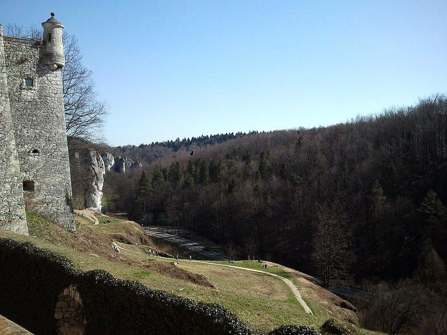 Widok z dziedzińca
