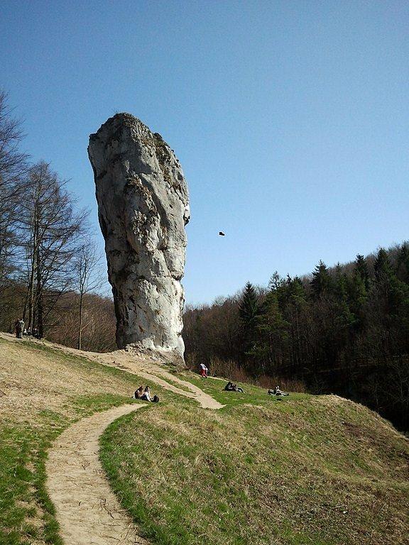 Maczuga Herkulesa