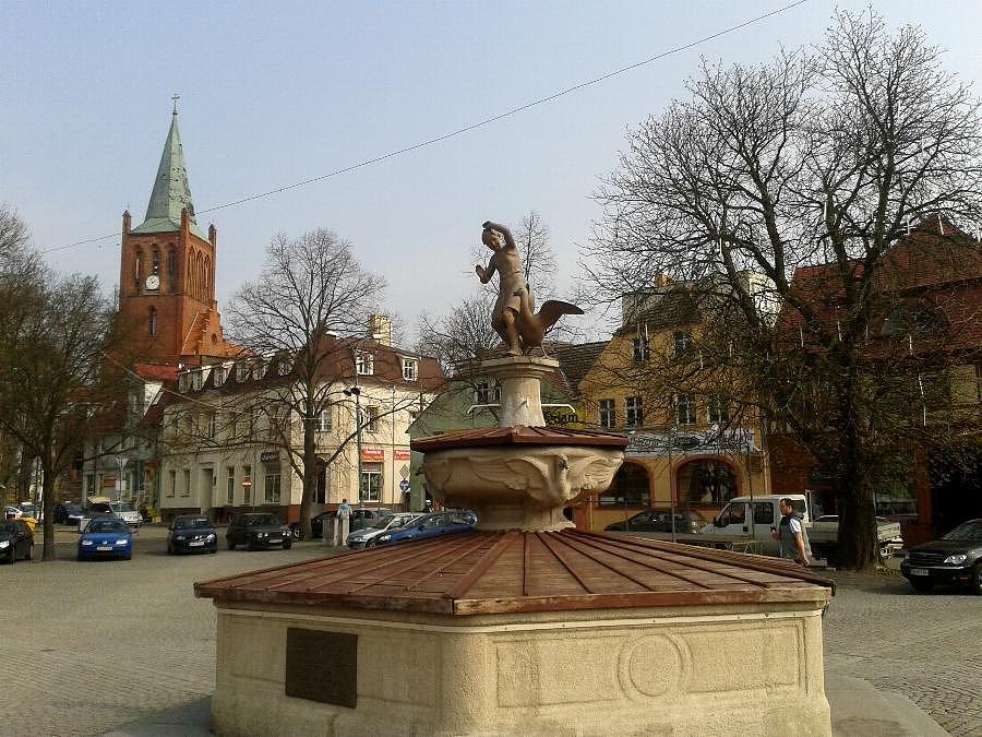 Pomnik gęsiarki na barlineckim rynku