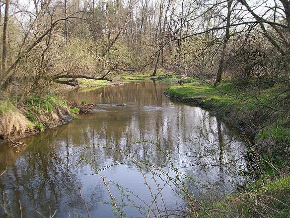 Jeziorka w Zalesiu Dolnym