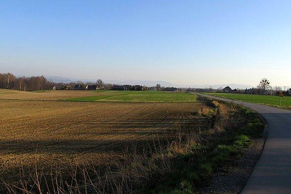 Widok z trasy