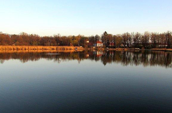 Staw przy drodze
