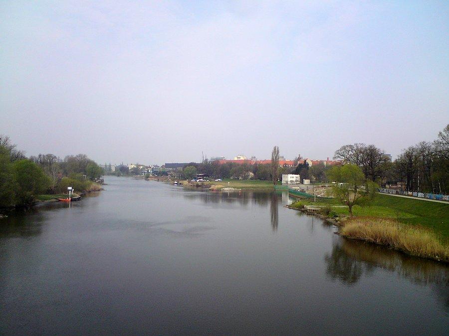 W tle Grunwaldzki