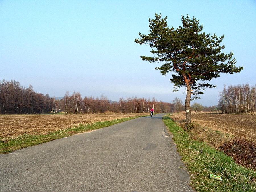Jak zawsze na tej drodze ulubiony znak, drzewostan ;)
