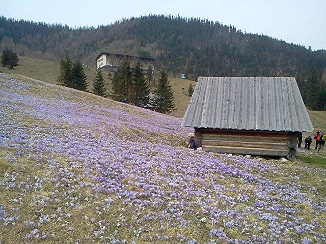 Trochę sobie połaziłem