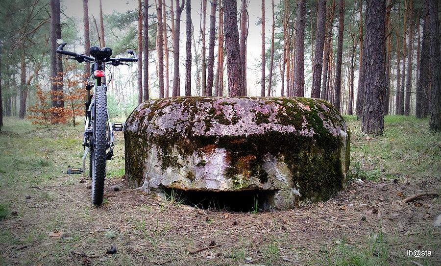 Niemieckie fortyfikacje linii B2 1944-45 w Antoniowie