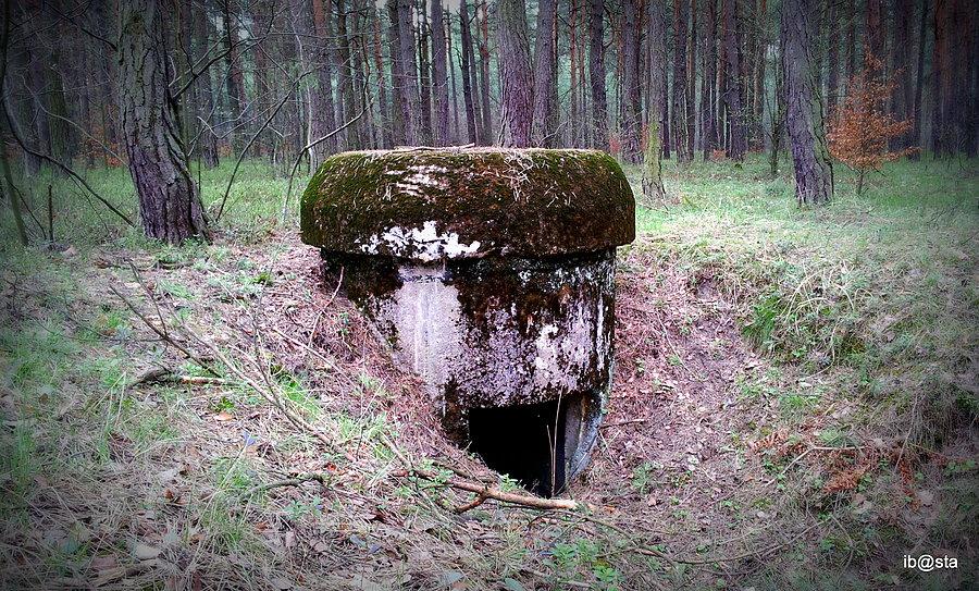 Niemieckie fortyfikacje linii B2 1944-45 w Antoniowie