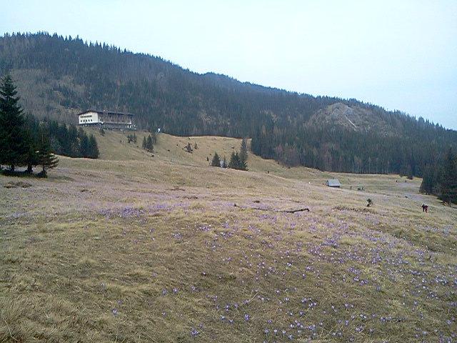 Pięknie