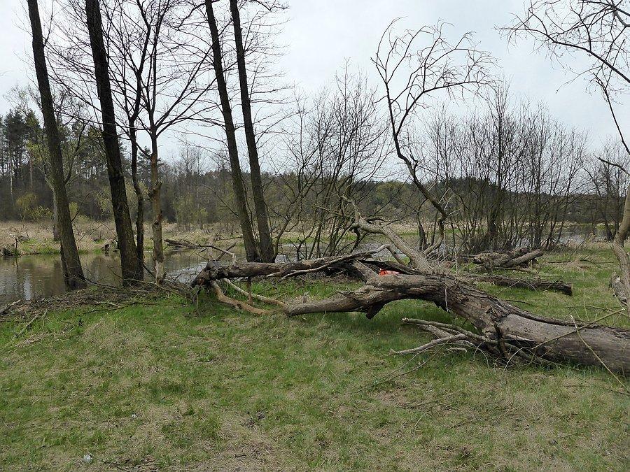 I znów nad Wartą