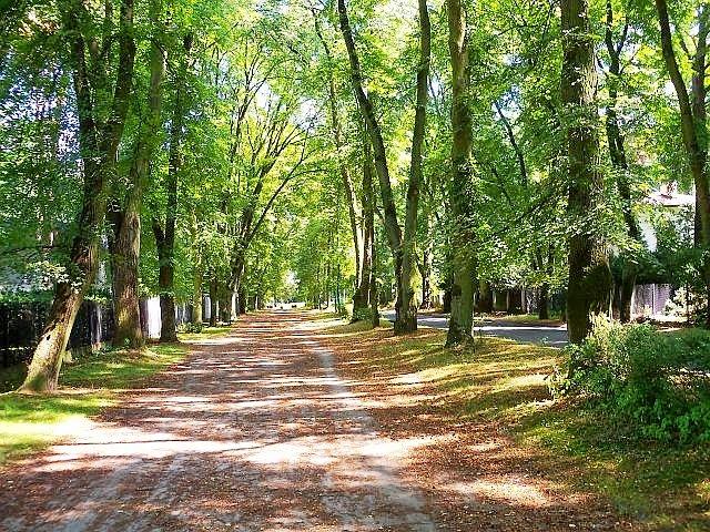 Podkowa Leśna