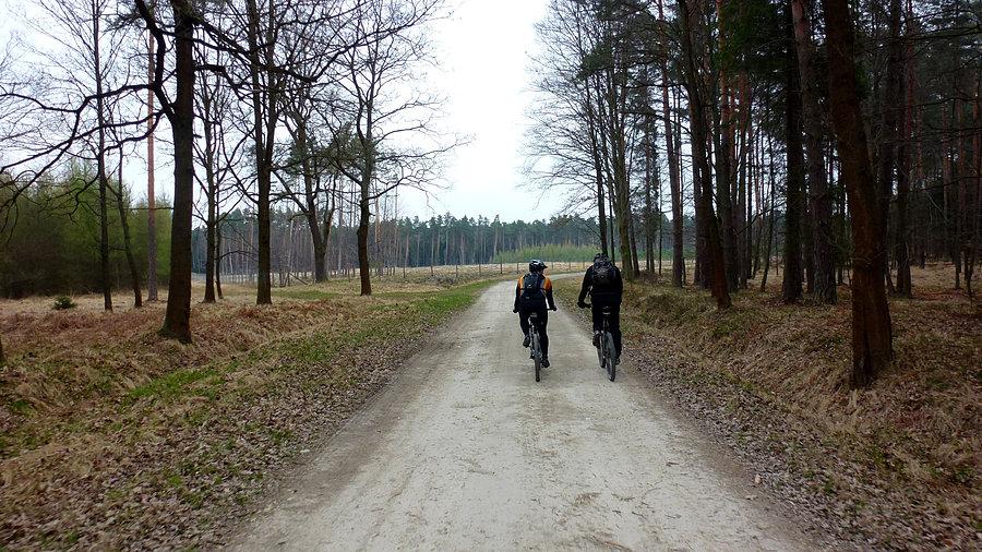 Puszcza pszczyńska