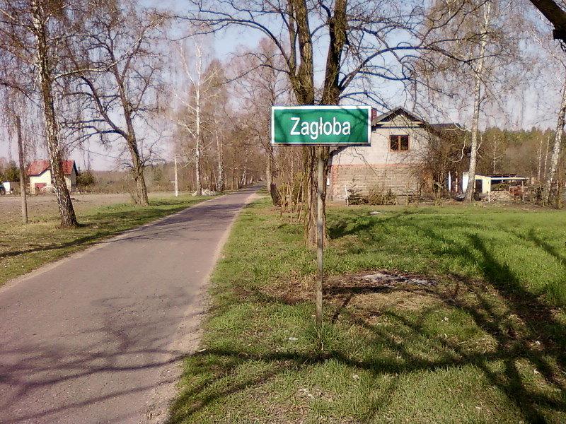Zagłoba