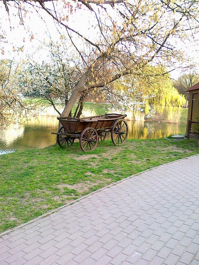 Szczęśliwice