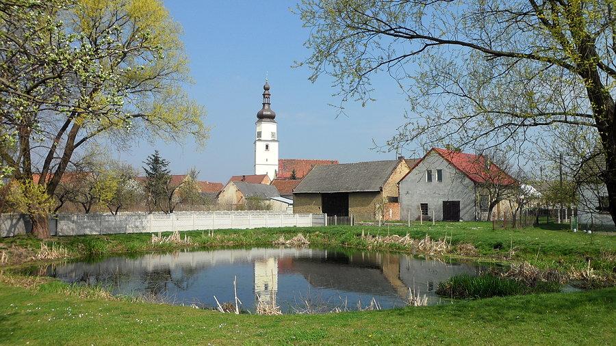 Przydrożne jeziorko, z kościołem św. Marcina w tle - Strzeleczki