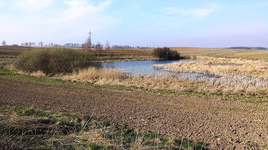 Przed Bolesławowem