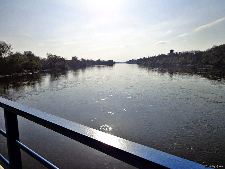 Narew