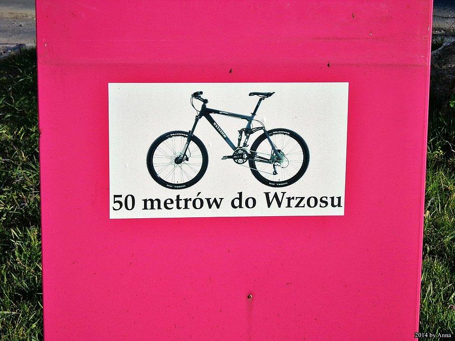 Uwaga, Wrzosy są wszędzie :-)