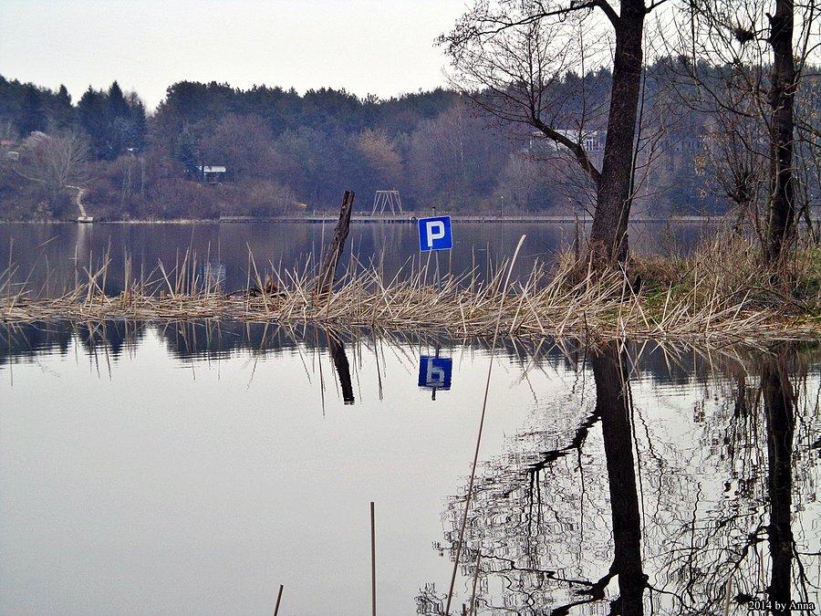 Parking. święte krowy warszawskie i tak by tam jakoś zaparkowały :P