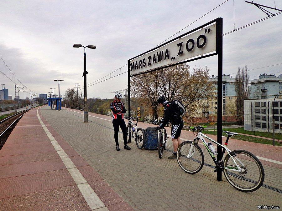 Dziś też korzystamy z SKM. Prawdopodobne opady motywują do jaknajszybszego opuszczenia Warszawy