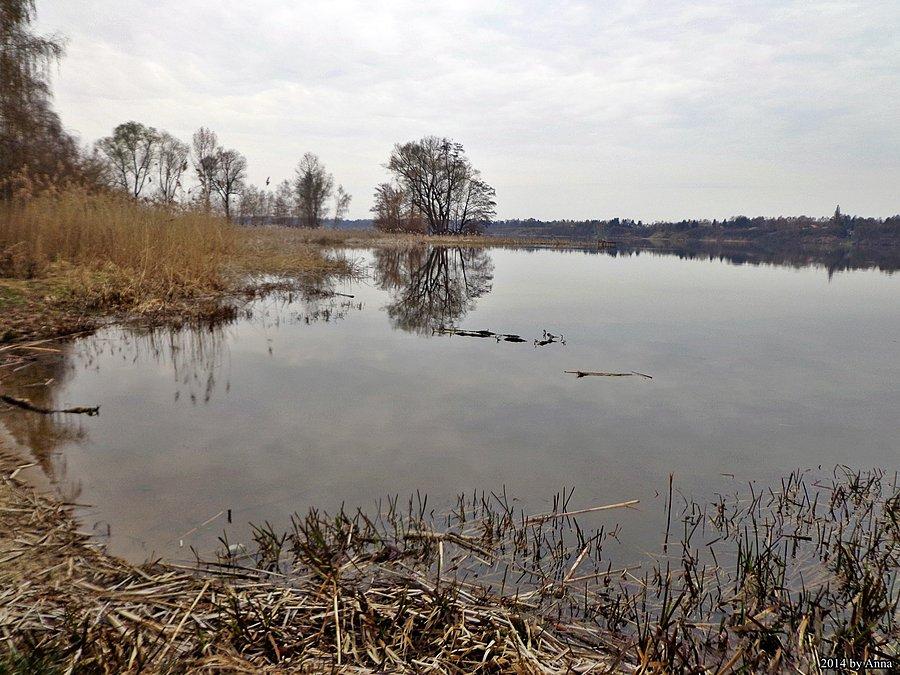 Narew. Zaraz Dębe