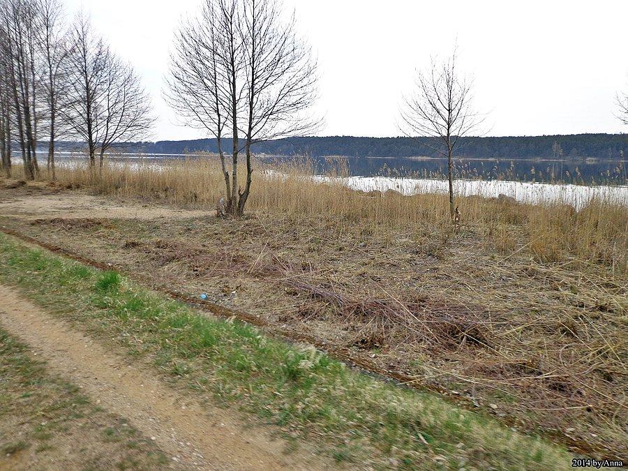 I gdyby wszystkie wały miały chociażby tak utwardzone i równe 2 ścieżki, było by pięknie