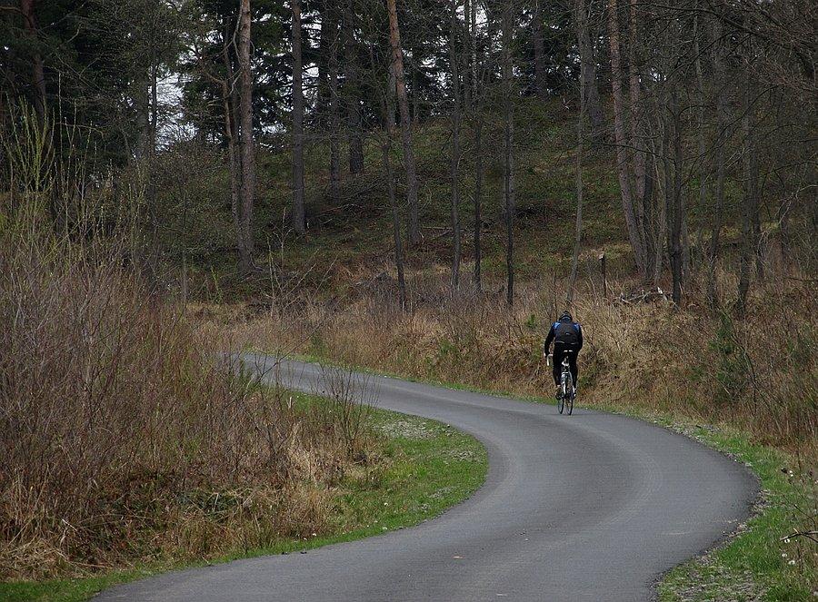 Końcówka podjazdu na przełączkę pod Kiczorką