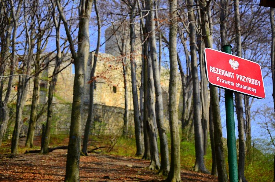 Zamek Lipowiec