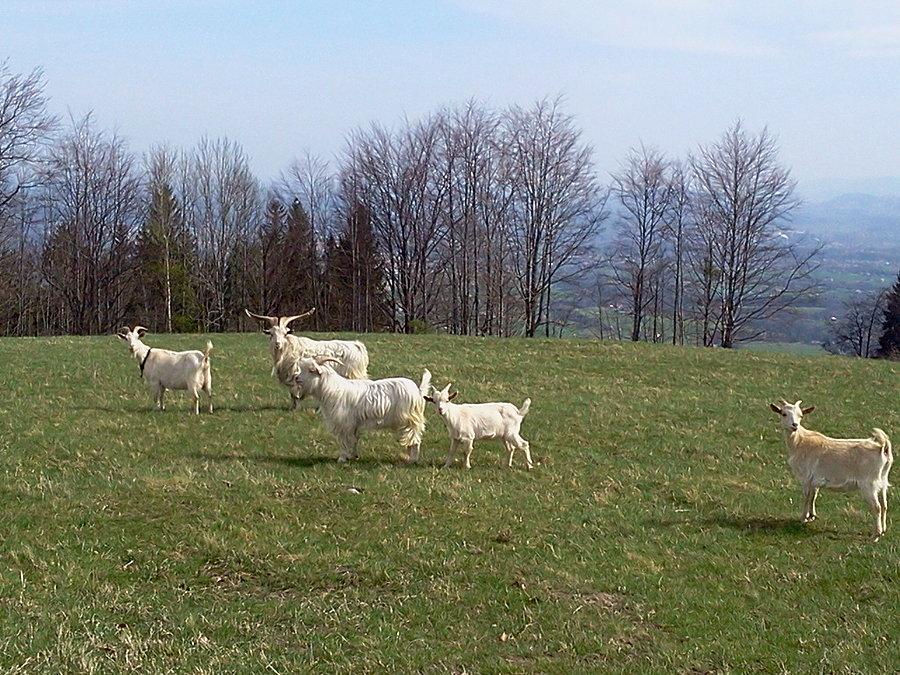 A wy co tak stoicie?