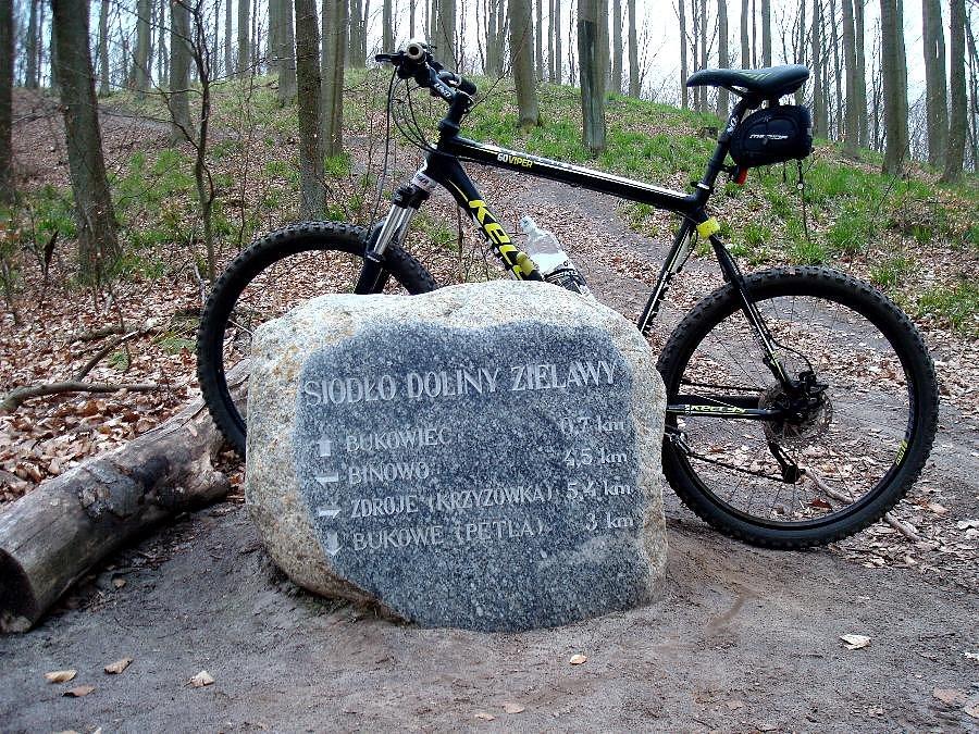 Siodło Doliny Zielawy