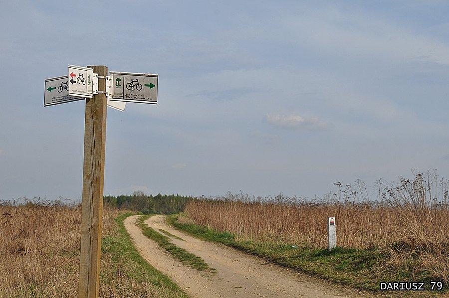Droga polna do Kamieniołomu Sodowa Góra