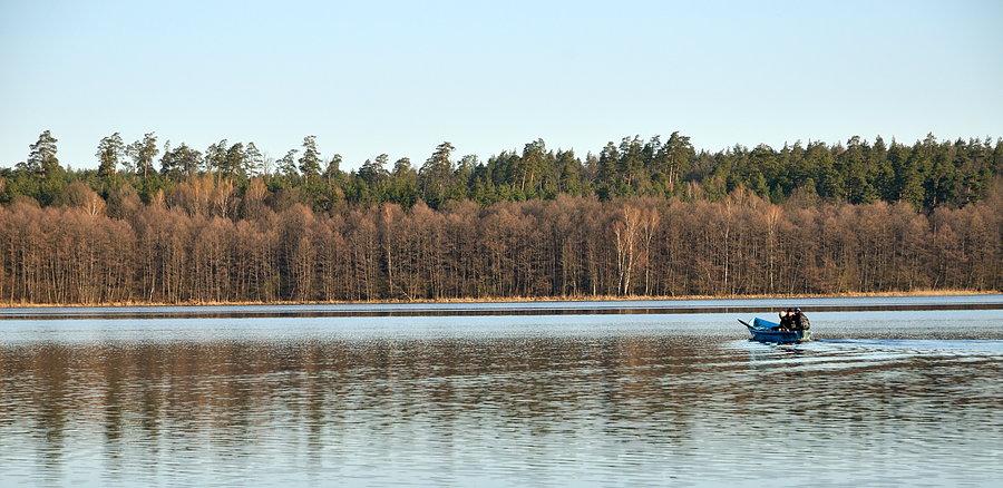 Poranny połów