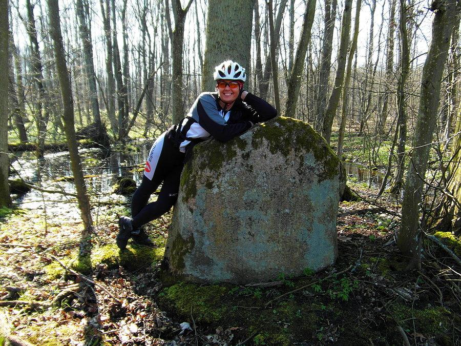 Kamień nr 9 przy drodze Dzierzgoń - Susz