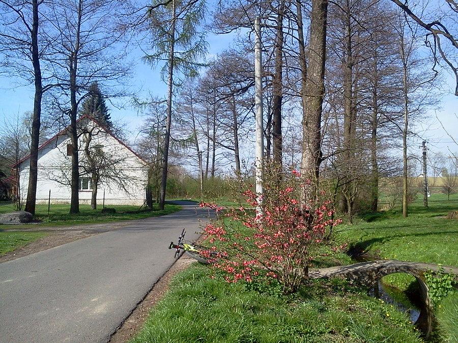 Ropice
