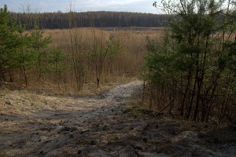 Gdzieś w drodze