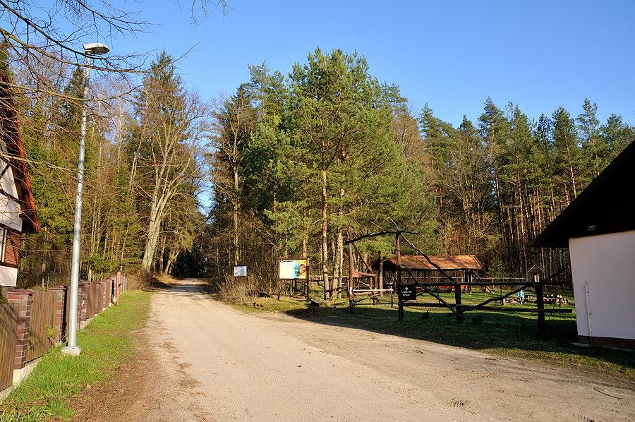 Miejsce biwakowe przy leśniczówce Mitelki