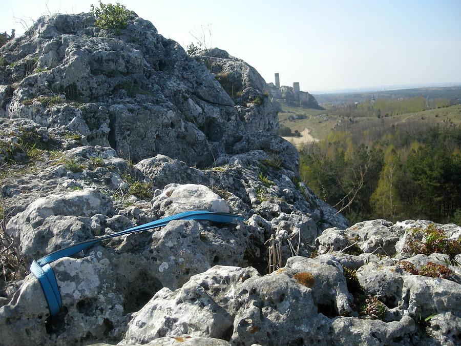 Jura - w dali zamek Olsztyński