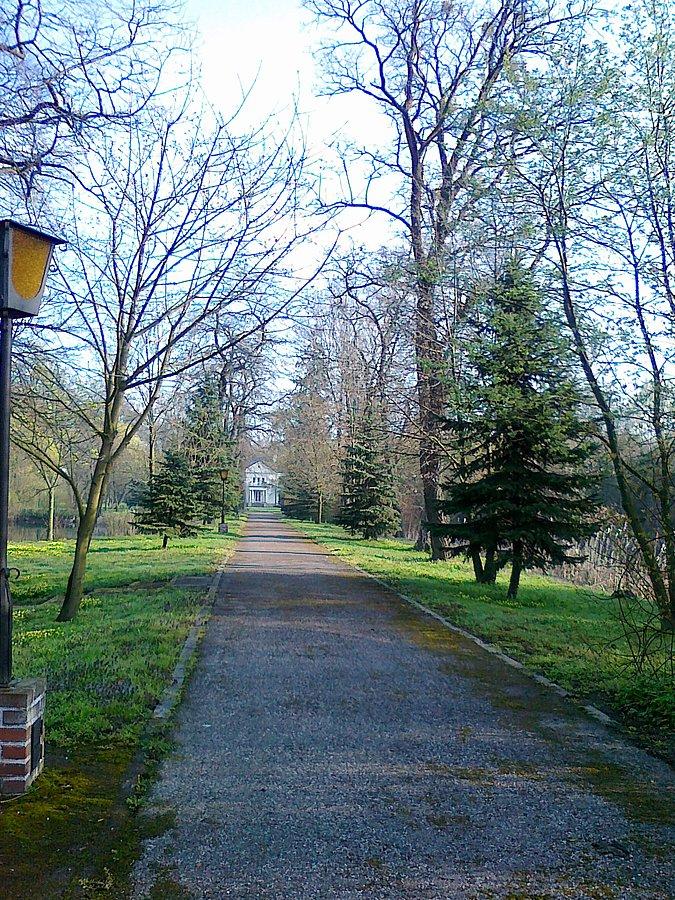 Park przy dworze w Pilaszkowie