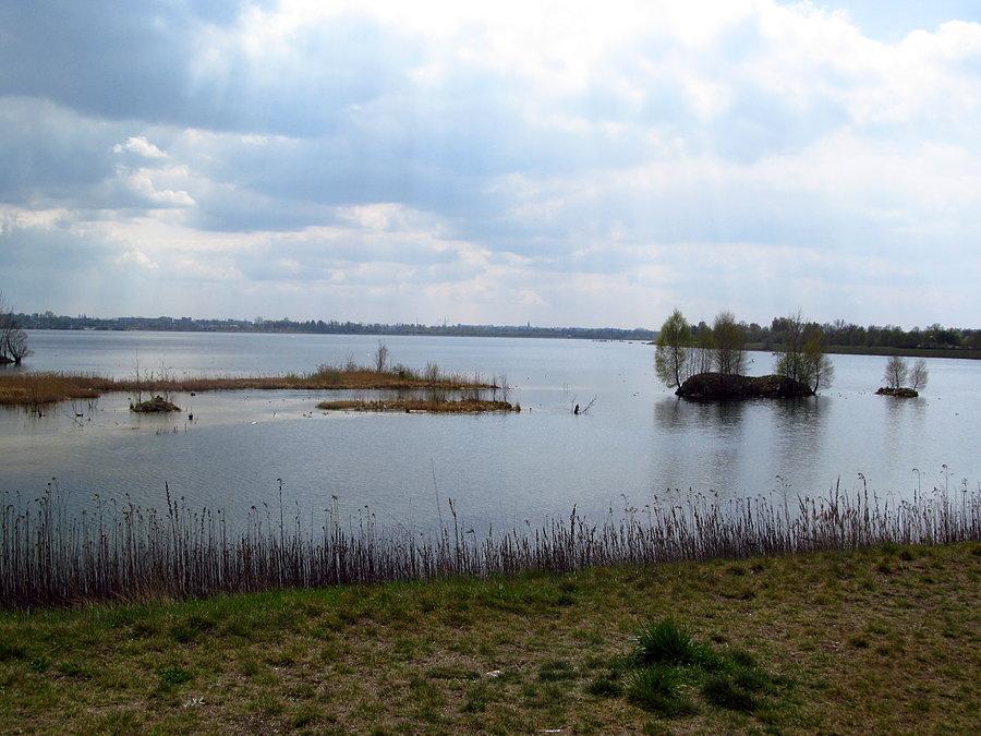 Pogoria 4