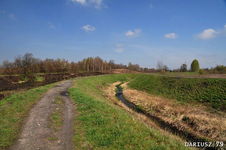 Wojkowice, Żychcice