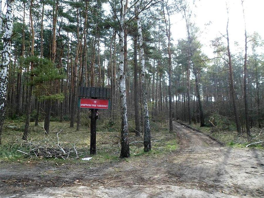 Tu już asfaltu nie ma. Puszcza Kampinoska