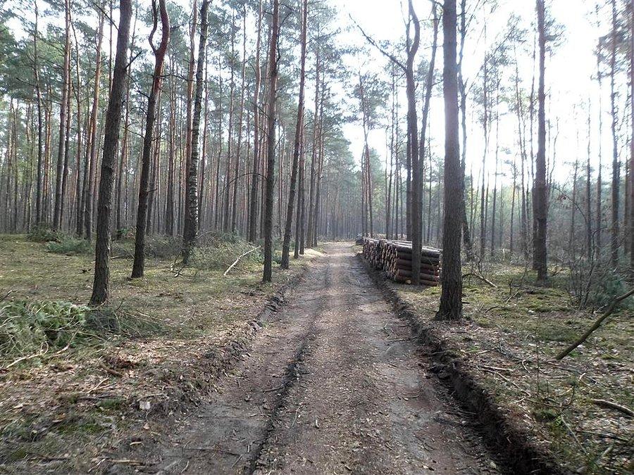 Droga Stanisławów - Lipków