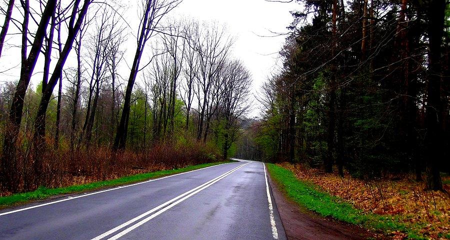 Czyżowice, asfalt już całkowicie mokry