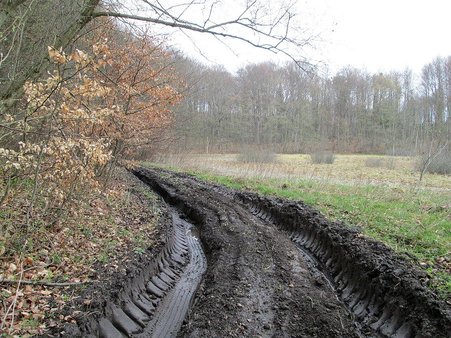 Ciąg dalszy nastąpił