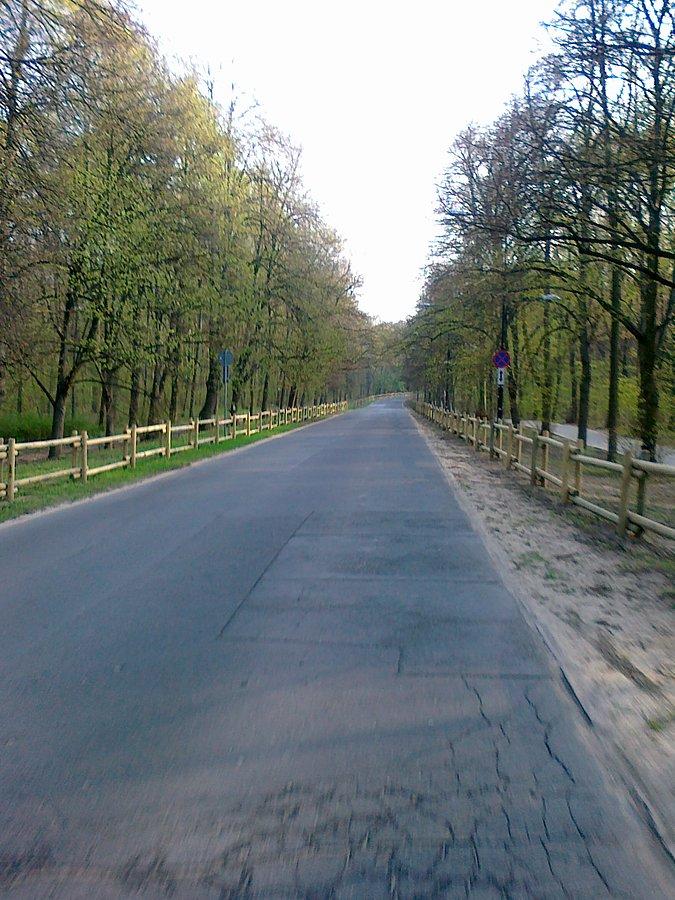 Las Bielański. Ulica Dewajtis