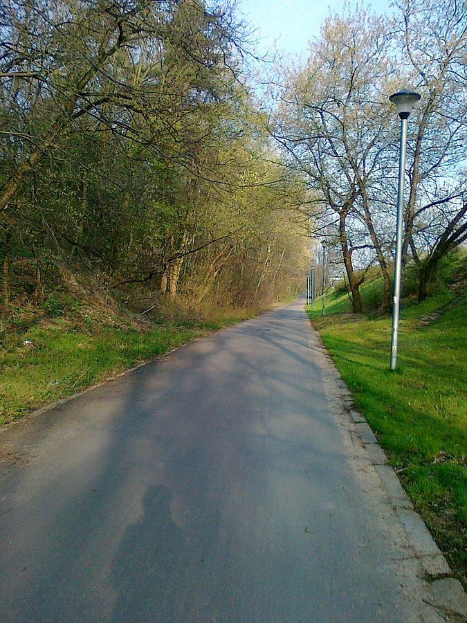 Droga wzdłuż Wisły
