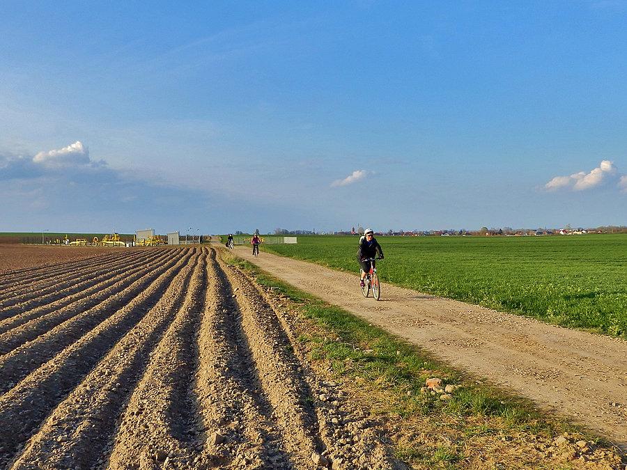 Na trasie wycieczki. Wracamy do Tczewa