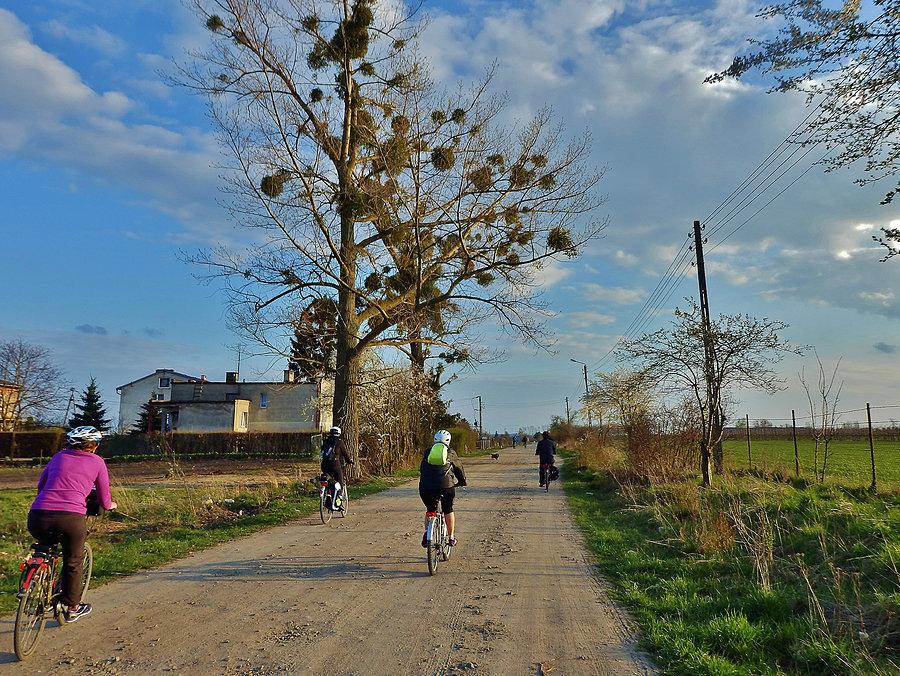 Na trasie wycieczki. Wracamy do Tczewa