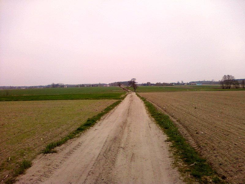 Droga w stronę Adamowa